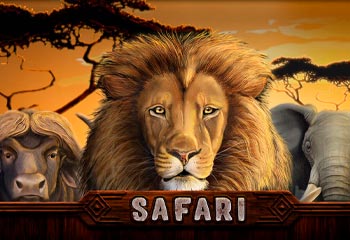 Safari